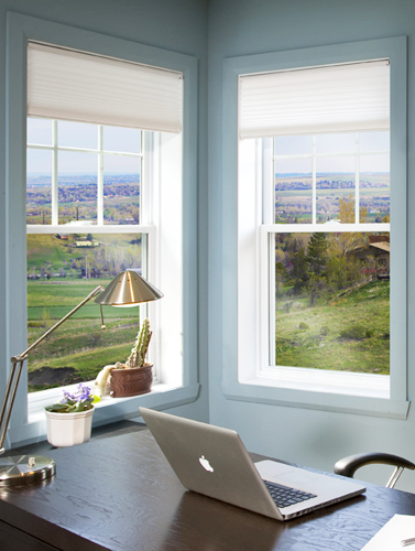 single and double hung windows brantford