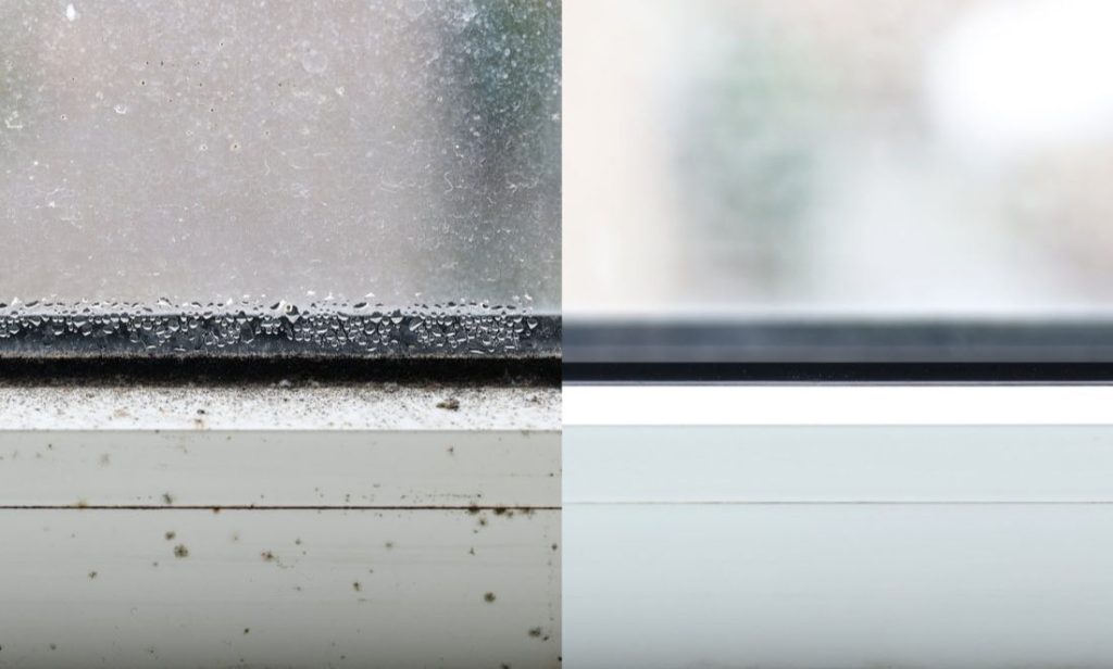 Managing Interior Condensation on Windows and Doors A Guide for Homeowners Hero Image